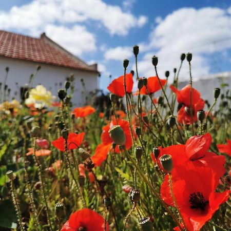 Al Mar Guesthouse Sao Luis Εξωτερικό φωτογραφία