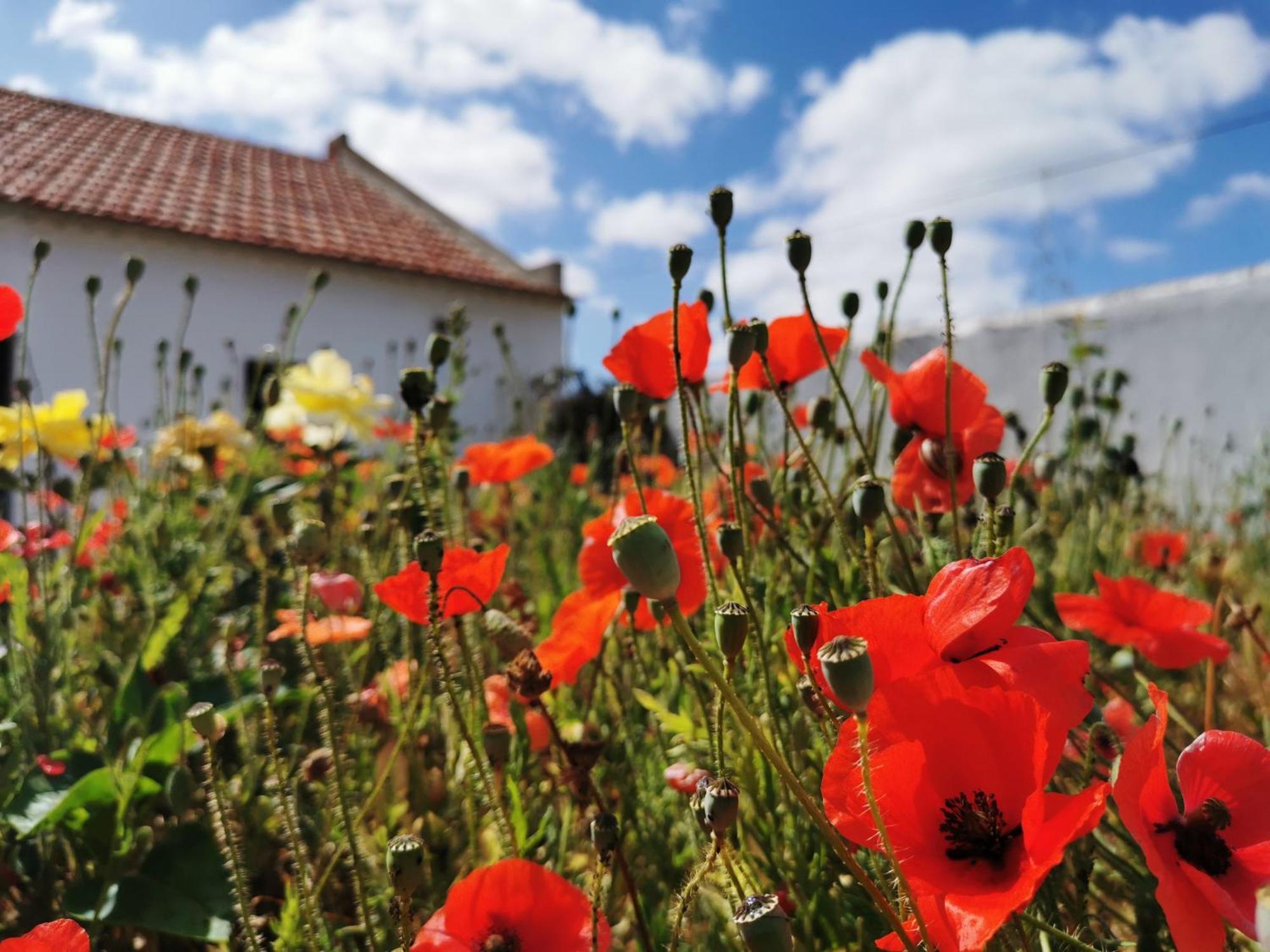 Al Mar Guesthouse Sao Luis Εξωτερικό φωτογραφία